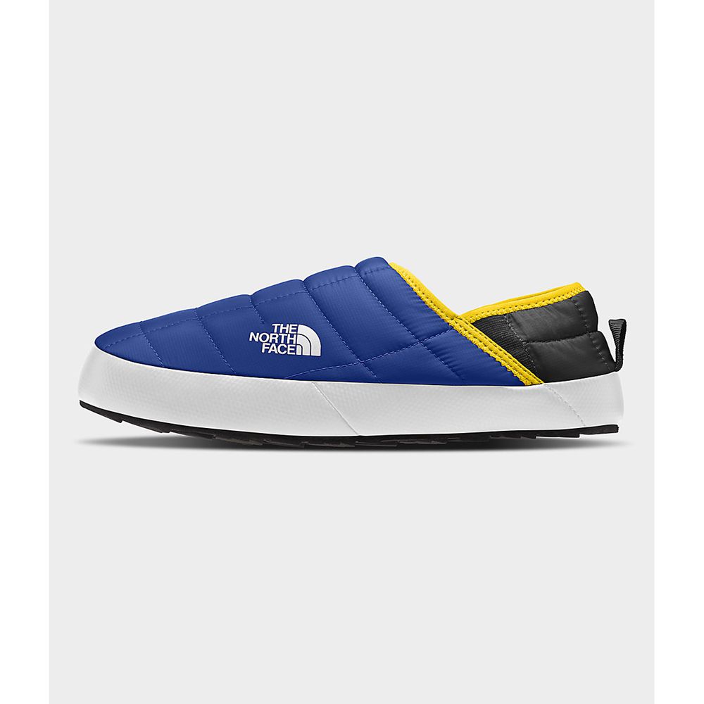 The North Face Mules Mens Australia - The North Face Thermoball™ Traction V Blue / Black (ETD-324901